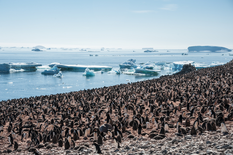 Antarctica cruise ship in iceberg-filled channel
