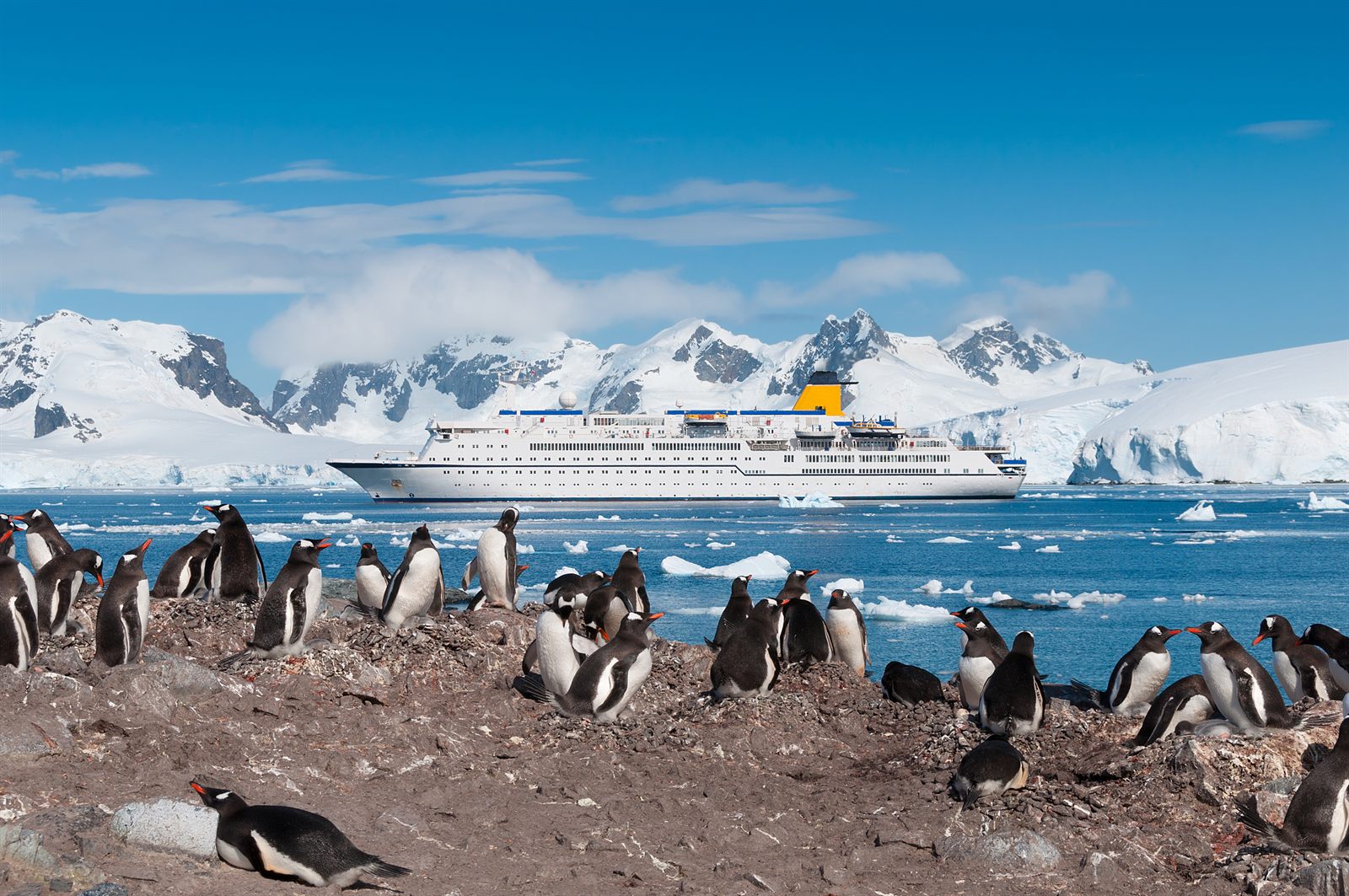 Gentoo penguin colony in front of an expedition ship anchored below snowy Antarctic peaks